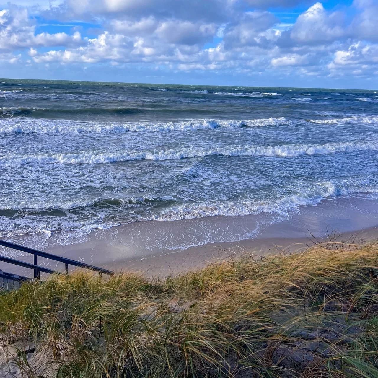 Куршская коса из Зеленоградска — фото 8