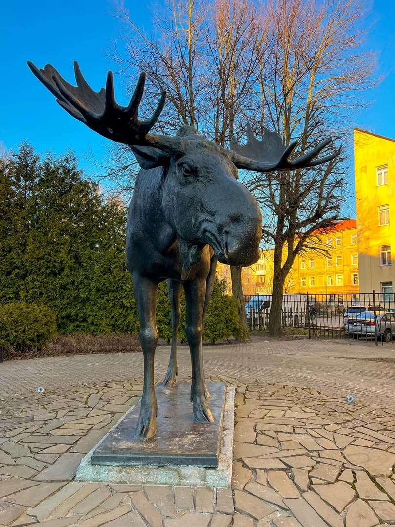 Экскурсия: « Тильзит - Рагнит : история войны, любви и мира » (Высокое – Неман – Советск) — фото 5