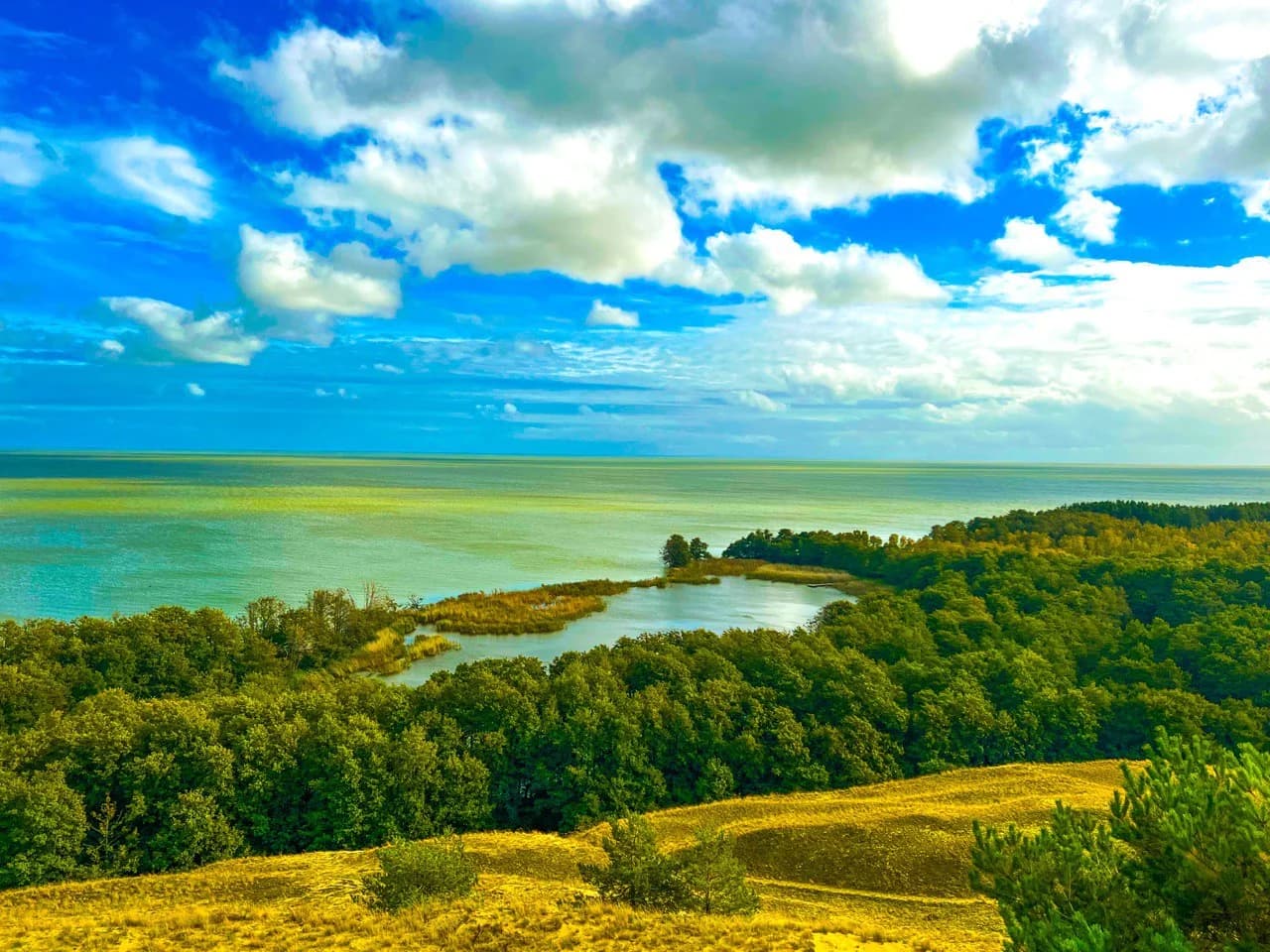 "Тайными тропами Куршской косы до семейной сыроварни Шаакендорф + Зеленоградск"