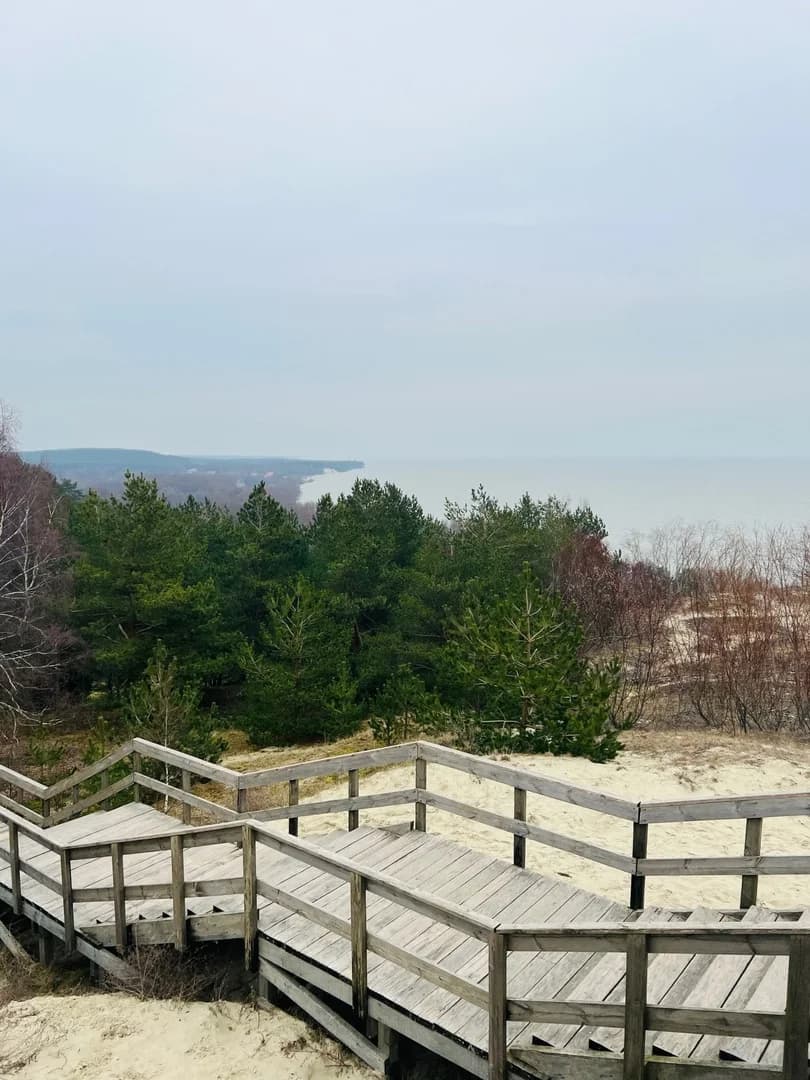 Куршская Коса из Зеленоградска