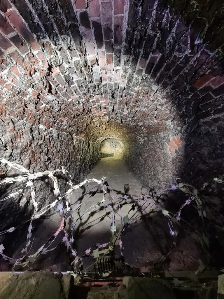 Ночная жизнь форта № 11 Дёнхофф — фото 5