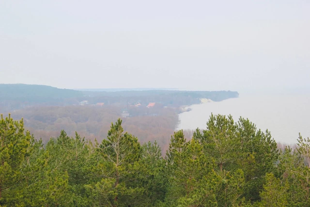 Куршская коса